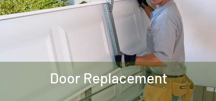 Door Replacement 