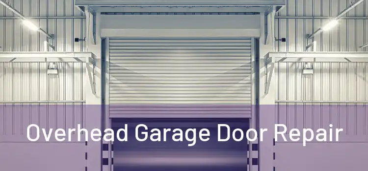  Overhead Garage Door Repair 